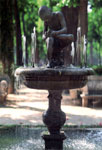 Jardin de la Isla. Nio de la Espina